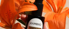 Kambiio Skincare Stellar Brilliance Concentrate with Rooibos + Licorice  for Radiance, Renewal and Vitality.
