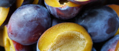 Unlocking the Beauty Secrets: The Marvels of Plum Seed Oil for Radiant Skin